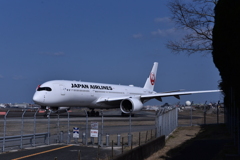 JAL 1167