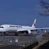 JAL 1167