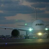 ANA 385