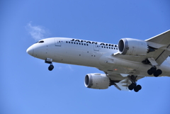 JAL 778