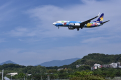 SKY 206
