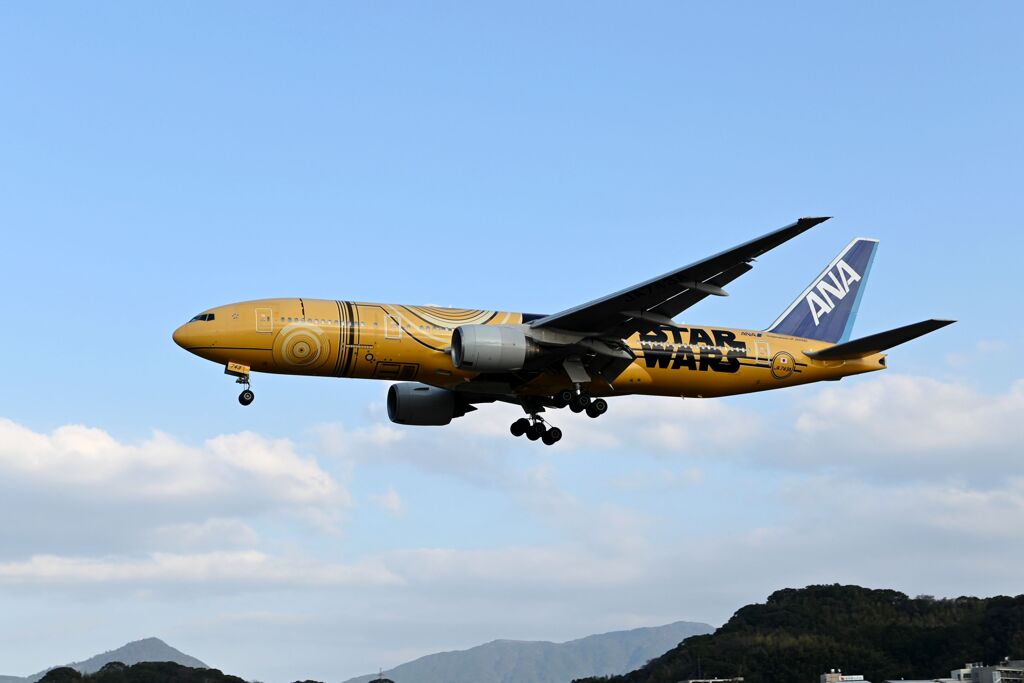 「秘めてかざした　舞扇」年末ですから・・３（＾＾；（ANA 1334）