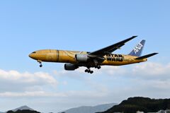 「秘めてかざした 舞扇」年末ですから・・3(^^;(ANA 1334)