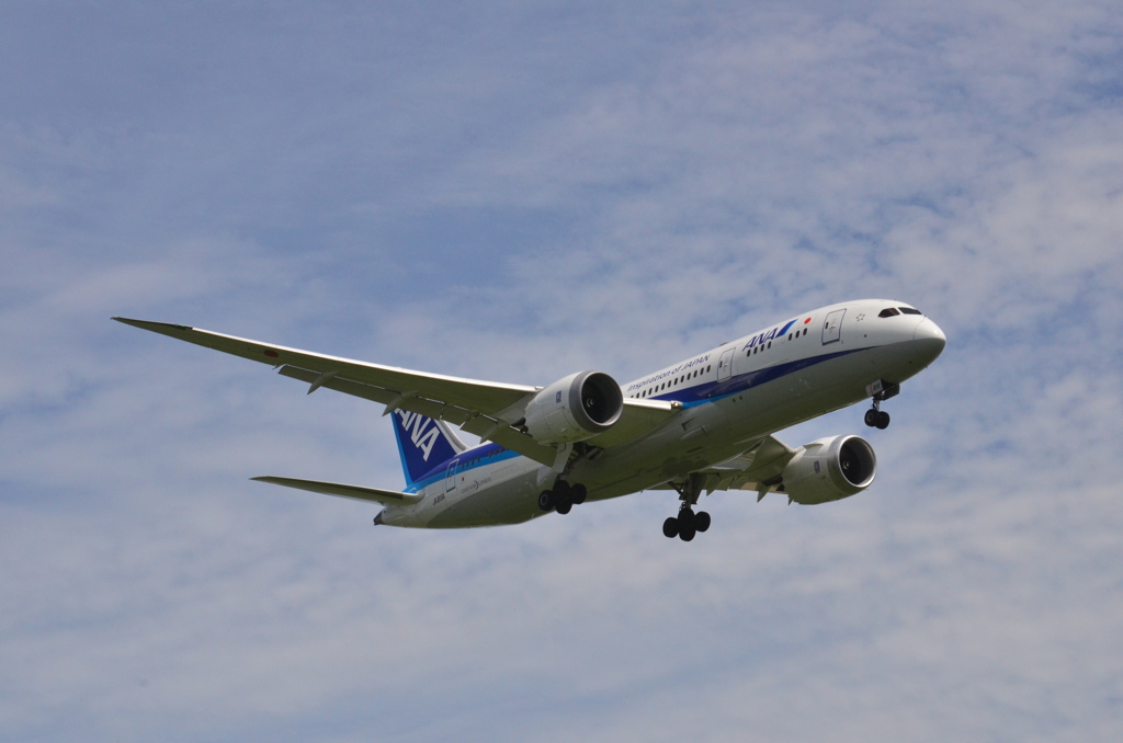 ANA 162