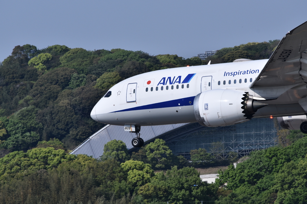 ANA 510