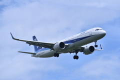 ANA 585