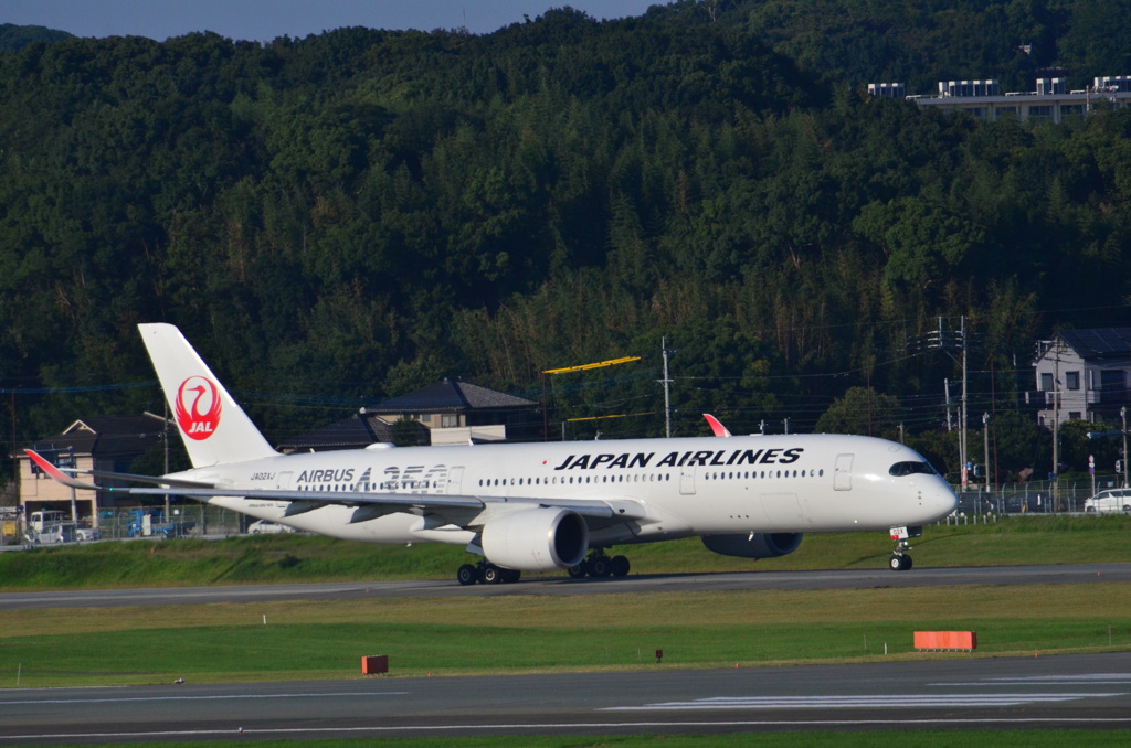 JAL 291