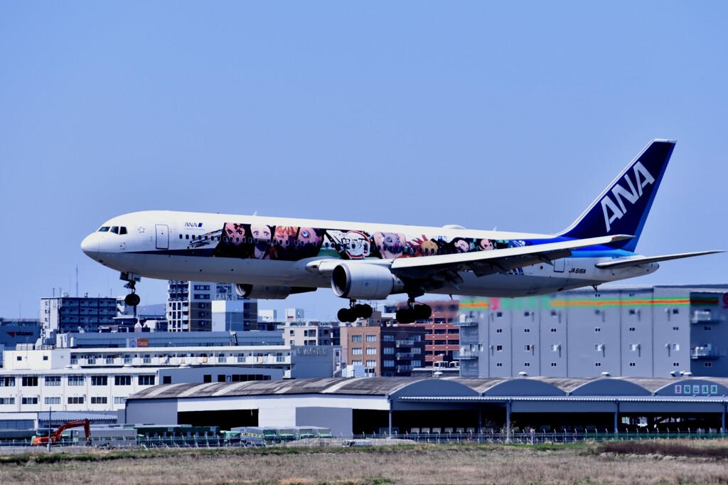 ANA 542