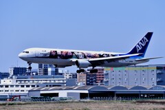 ANA 542