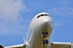 JAL 388