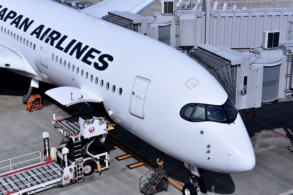 JAL 1295