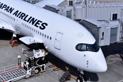 JAL 1295