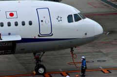ANA 456
