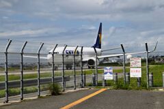 SKY 319