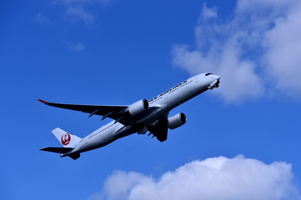 JAL 785