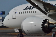 JAL 40