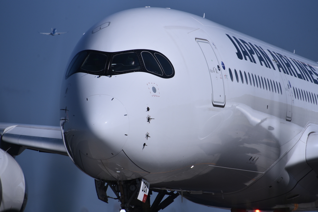 JAL 1181