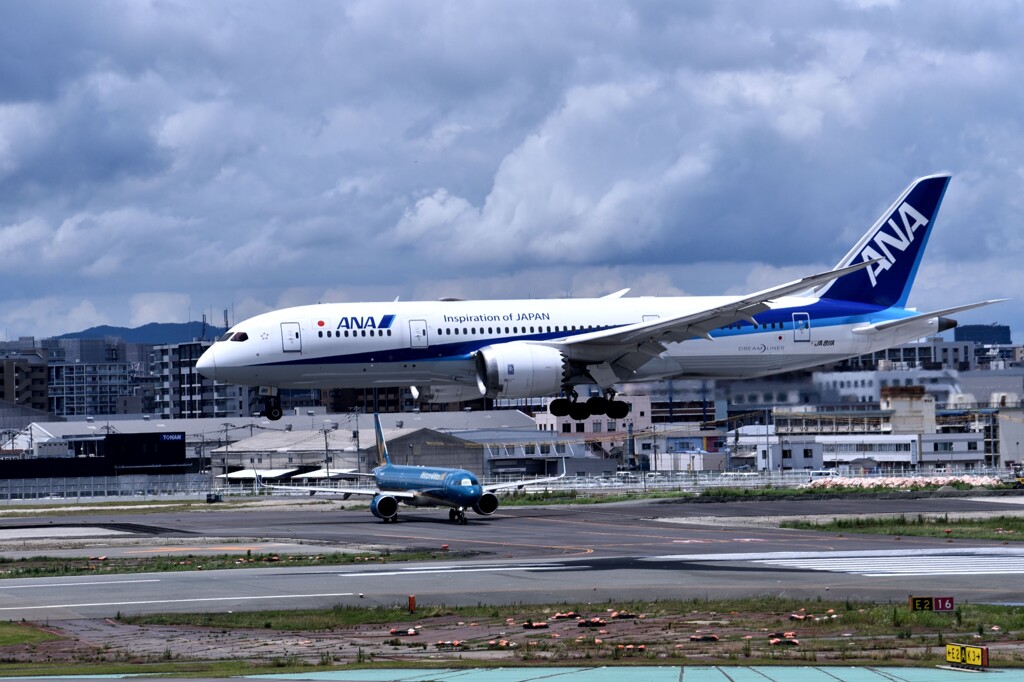 ANA 875