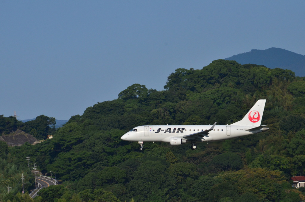 JAL 301