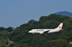 JAL 301