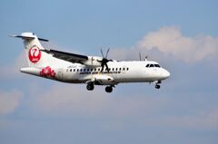 JAL 389