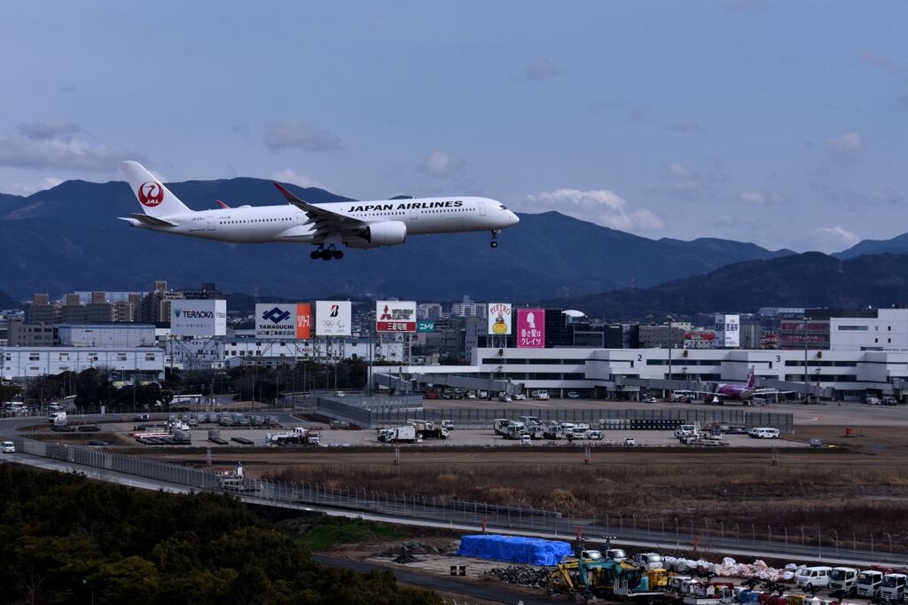 JAL 826