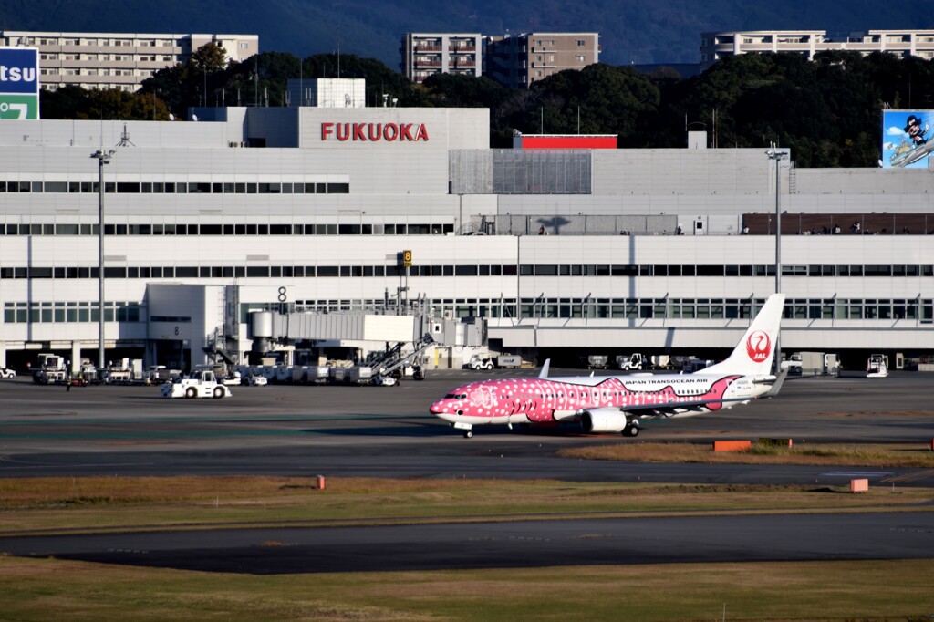 JAL 1086