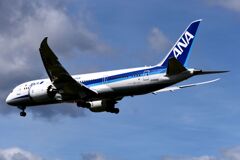 ANA 978