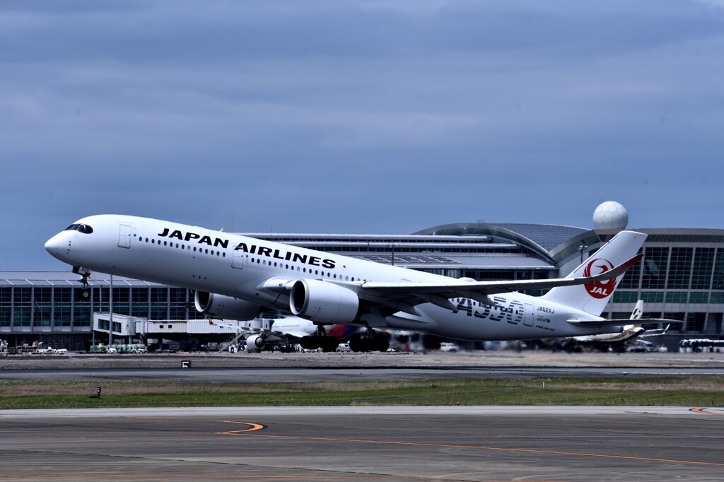 JAL 941