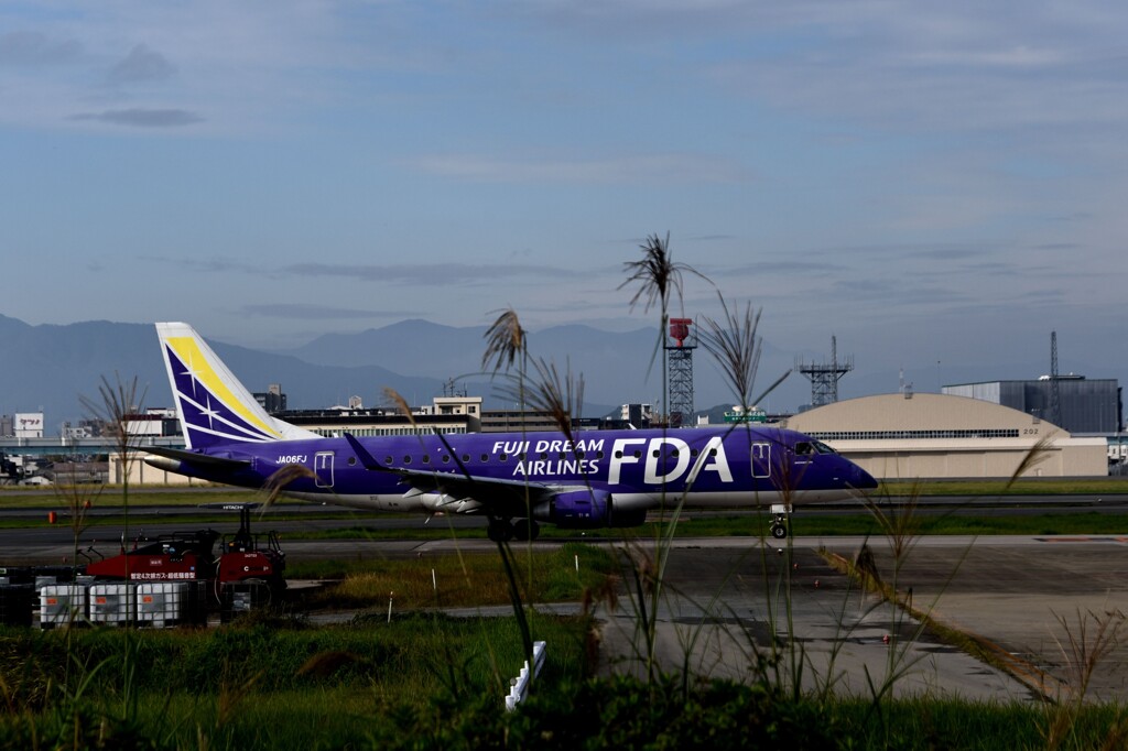 FDA 295