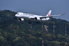 JAL 581