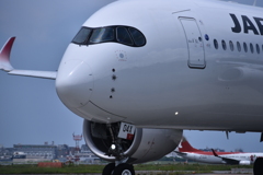 JAL 674