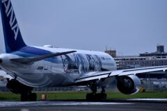 ANA 929
