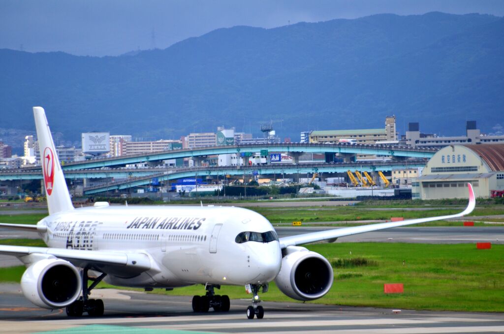 JAL 175