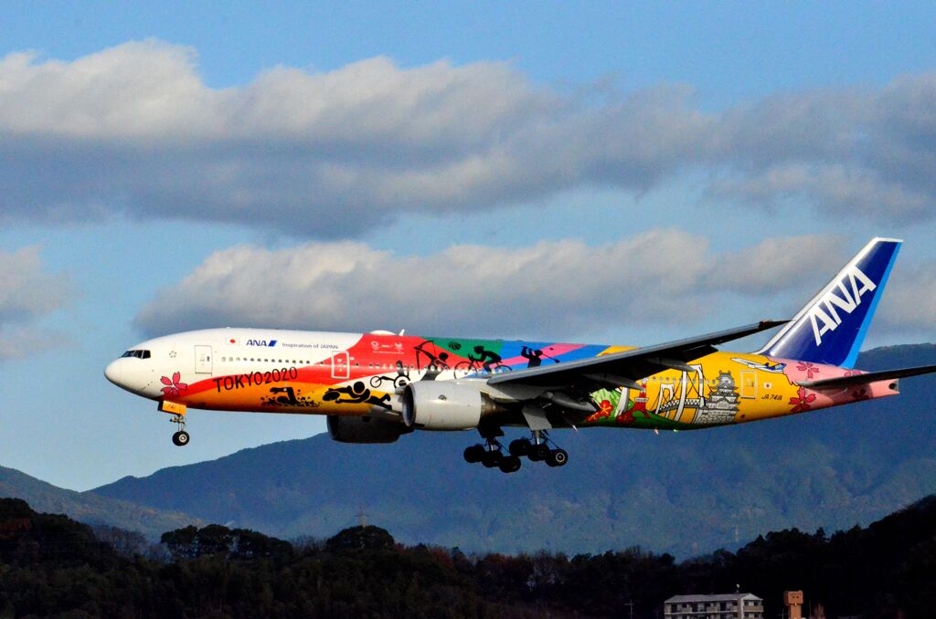 ANA 272  （特別塗装機）