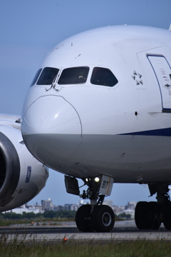 ANA 586