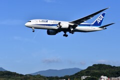 ANA 959
