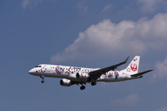 JAL 1296