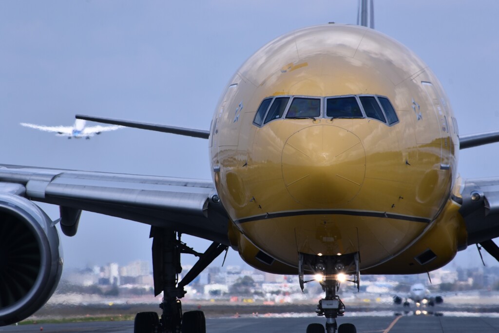 ANA 971