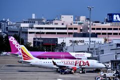 FDA 263