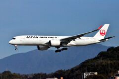 JAL 111