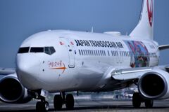 JAL 1006