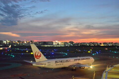JAL 365