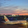 JAL 365