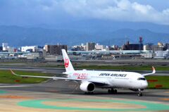JAL 810