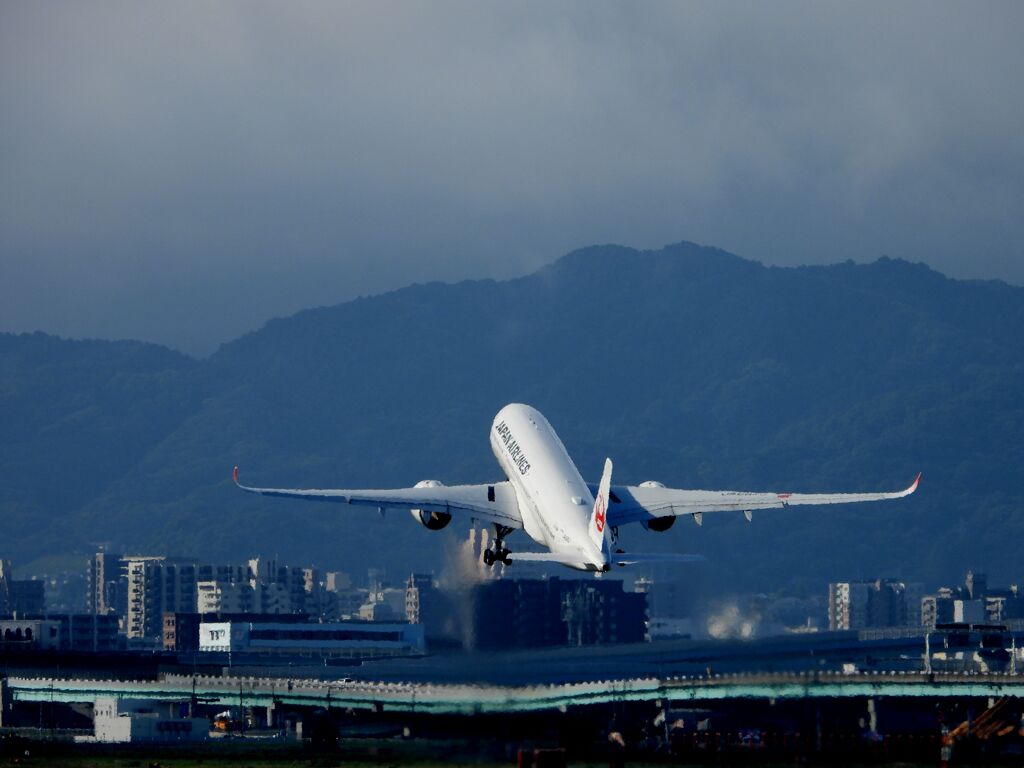 JAL 1308