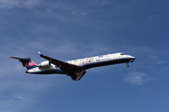 ANA 980