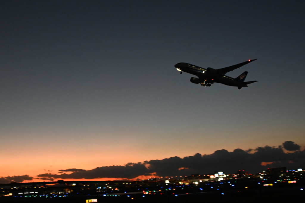 「夕やけニャンニャン」03