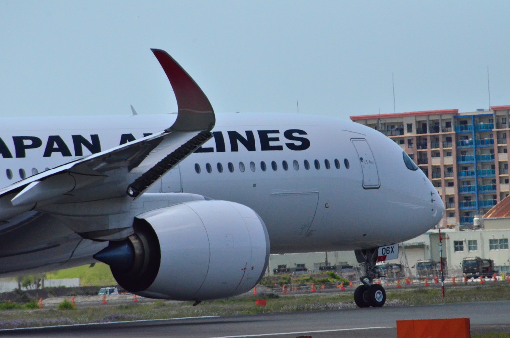 JAL 118