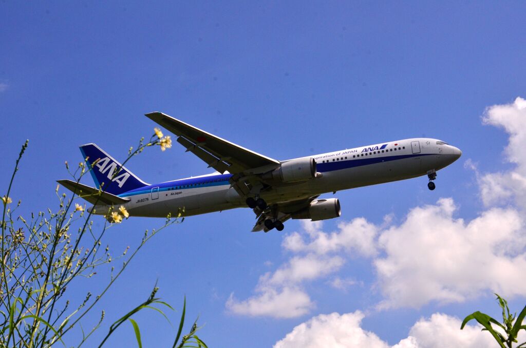 ANA 232
